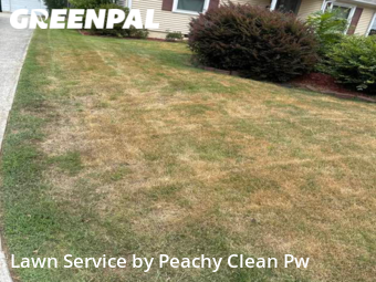 Yard Mowing nearby Carrollton, GA, 