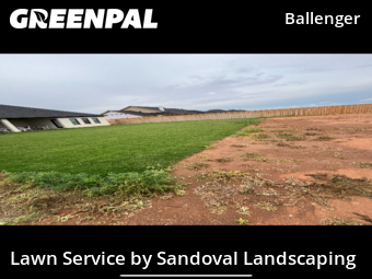 Grass Cutting nearby Lubbock, TX, 