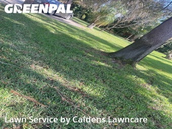 Lawn mowed in Greenacres, 33463