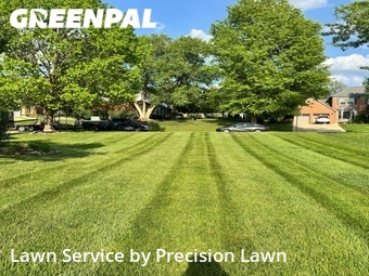Grass Cut nearby Crescent Springs, OH, 