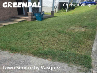 Work completed by the-yard-cutting-businesses-in-Antioch-CA