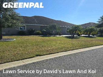 Yard Mowing in The Villages, 32163, Grass Cutting by David's Lawn And Koi, work completed in Dec , 2025
