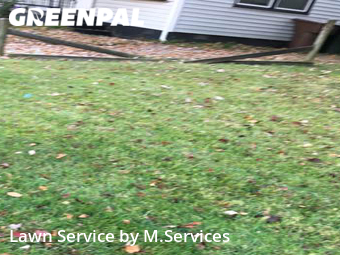 Lawn Cut nearby Greensboro, NC, 