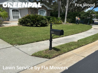 Lawn Care Service nearby Trinity, FL, 