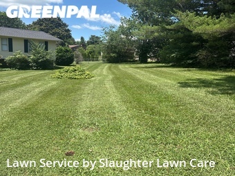 Yard Mowing nearby Knoxville, TN, 