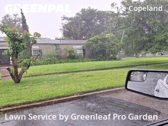 Lawn Mow nearby Orlando, FL, 