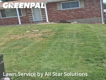 Lawn Care nearby St. Louis, IL, 