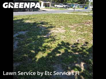 Lawn Care Servicein Dunedin,34698,Grass Cutting by Etc Services Fl, work completed in Nov , 2025