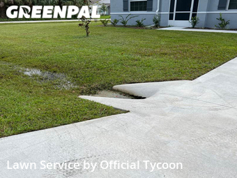 Lawn Cut nearby Palm Coast, FL, 