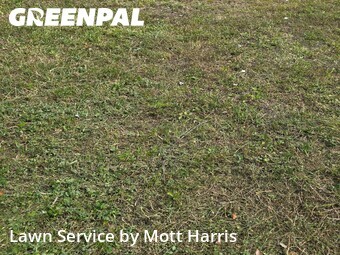 Lawn Service nearby Plantation, FL, 