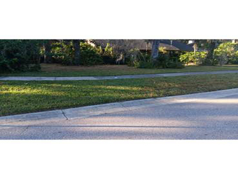 Lawn Maintenance nearby Brandon, FL, 