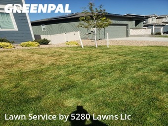 Yard Cutting nearby Wellington, CO, 