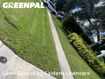 Turf Services in Royal Palm Beach, 33411, Yard Grooming by Caidens Lawncare , work completed in Nov , 2025