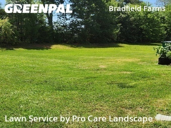 Yard Mowing nearby Charlotte, NC, 