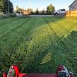affordable-grass-cutting-businesses-in-New Rochelle-NY