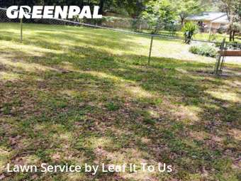 Lawn Cut nearby Tallahassee, FL, 