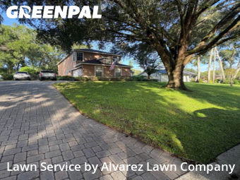 Grass Cutin Altamonte Springs,32701,Grass Cut by Alvarez Lawn Company, work completed in Nov , 2025