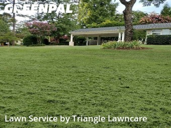 Yard Cutting nearby Raleigh, NC, 