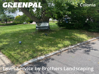 Grass Cutting nearby Woodbridge Township, NJ, 