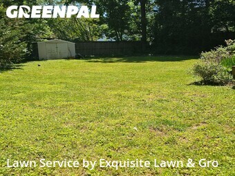 Lawn Maintenance nearby Falls Church, DC, 