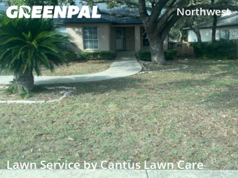 Grass Cutting nearby San Antonio, TX, 