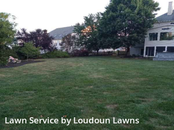 Landscaping Maintenance in Ashburn, 20147, Yard Services by Loudoun Lawns, work completed in Nov , 2025