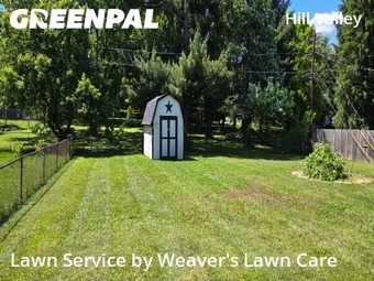Grass Cut nearby Indianapolis, IN, 