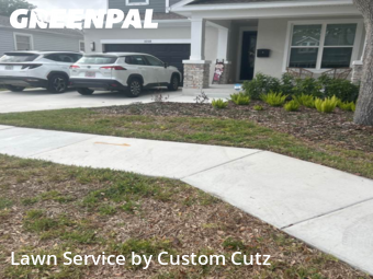 Grass Cutting nearby St. Petersburg, FL, 