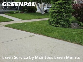 Lawn Mow nearby Southgate, MI, 