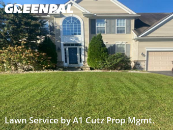 Lawn Mow nearby Smyrna, DE, 