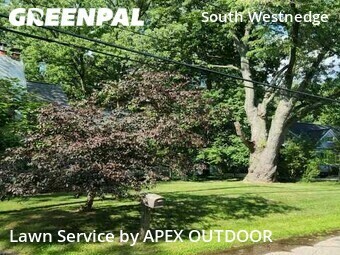 Yard Mowing nearby Kalamazoo, MI, 