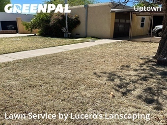Lawn mowed in Albuquerque, 87110