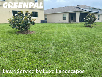 Yard Cutting nearby Davenport, FL, 