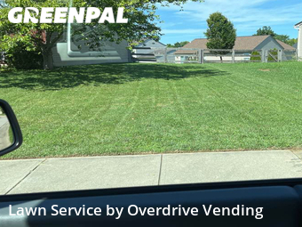 Grass Cutting nearby Fort Wright, KY, 