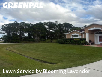 Property Maintenance in Port St. Lucie, 34986, Lawn Maintenance by Blooming Lavender, work completed in Dec , 2025