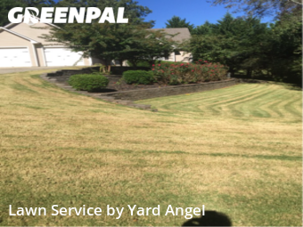 Yard Cutting nearby Gainesville, GA, 