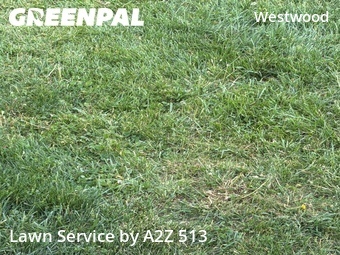 Lawn Care nearby Cincinnati, OH, 