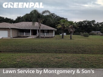 Lawn Cut nearby Lakeland, FL, 