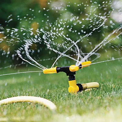 Arizona Lawn King Inc Photo 4