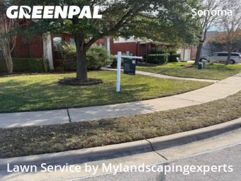 Lawn mowed in Round Rock, 78665