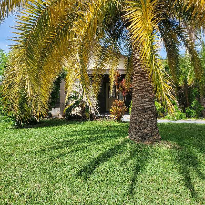 A+ Services Llc Lawn Care Services in Lutz, FL