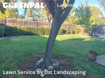 Work completed by professional-lawn-care-service-in-Rancho Cordova-CA
