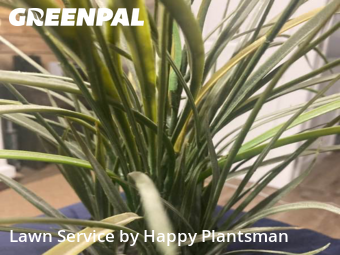 Lawn Mow nearby Mason, OH, 