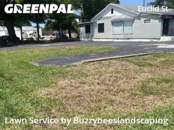 Lawn Mow nearby St. Petersburg, FL, 