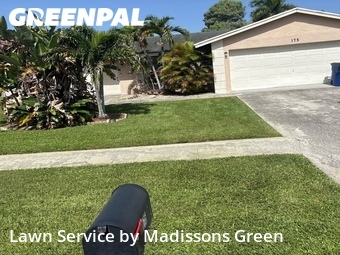 Lawn Cut nearby Royal Palm Beach, FL, 