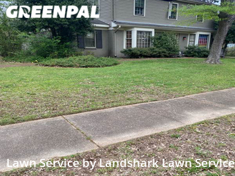 Grass Cut nearby Memphis, MS, 