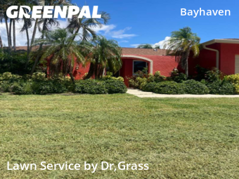 Lawn Cut nearby Seminole, FL, 