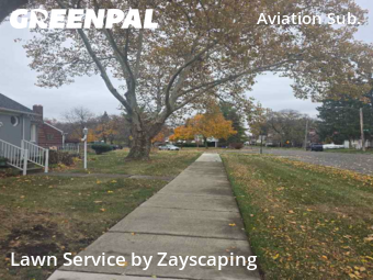 Turf Services in Detroit, 48204, Grass Services by Zayscaping, work completed in Nov , 2025