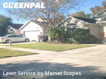 Grass Cut nearby Orlando, FL, 