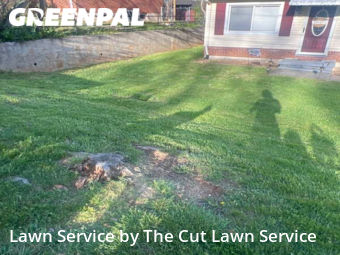 Grass Cut nearby Roanoke, VA, 